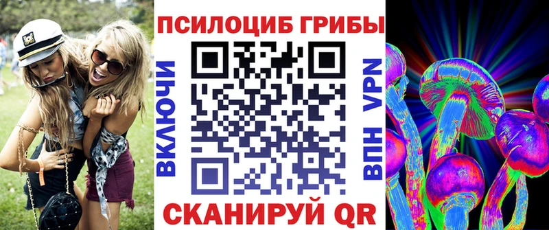 Псилоцибиновые грибы Psilocybe  Красноуфимск 
